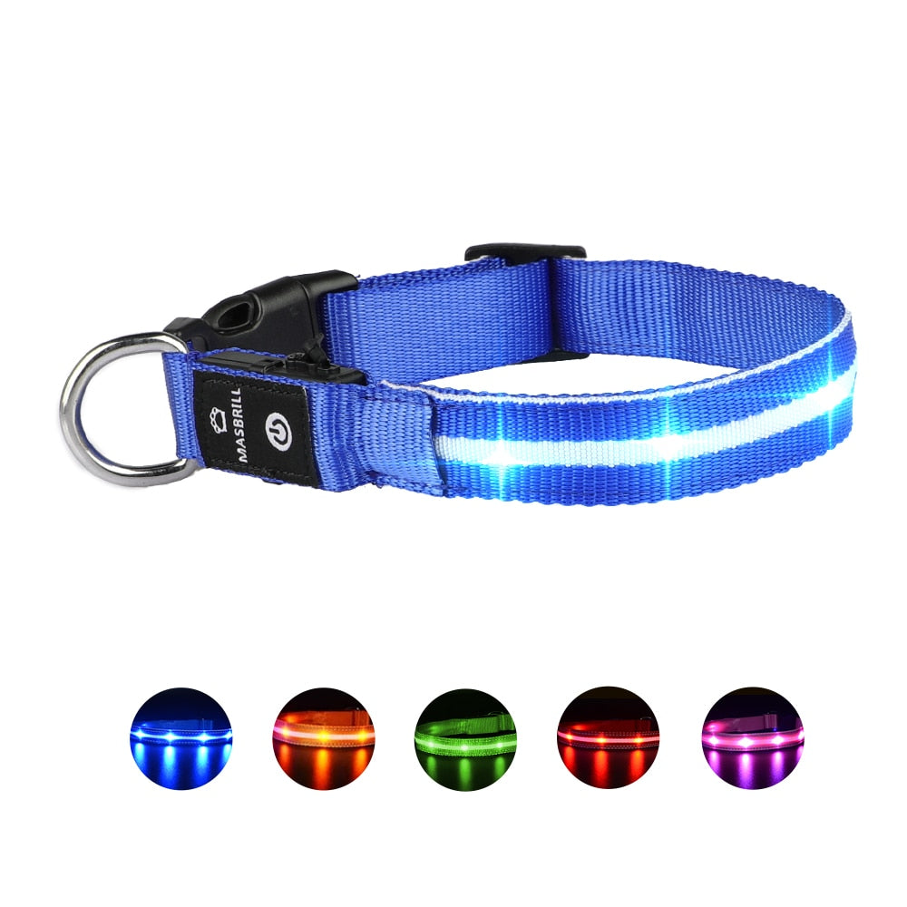 Dog LED Glowing Collar USB Rechargeable 3 Flashing Modes