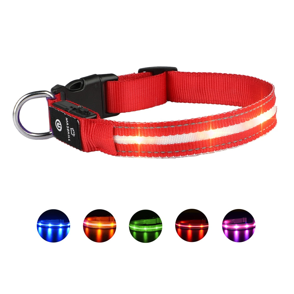 Dog LED Glowing Collar USB Rechargeable 3 Flashing Modes