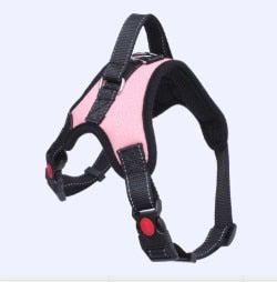 Adjustable Harness w/ Hand Strap