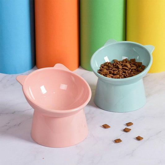 Pet Feeding Bowl