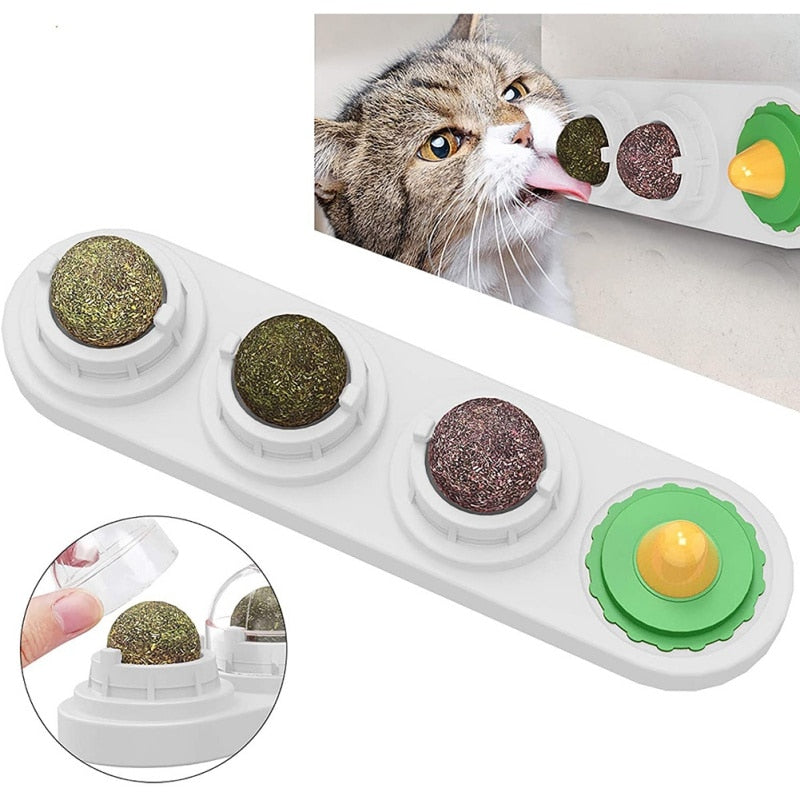 Pet Cat Catnip Wall Ball