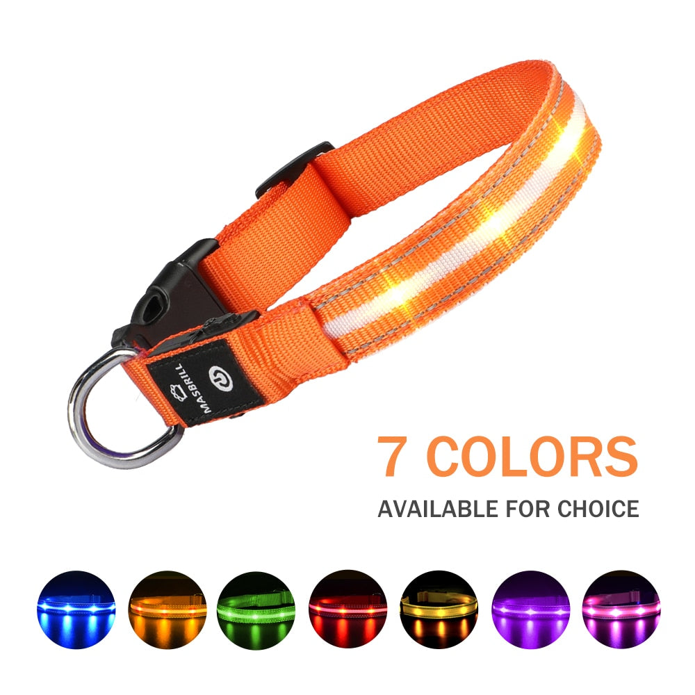 Dog LED Glowing Collar USB Rechargeable 3 Flashing Modes