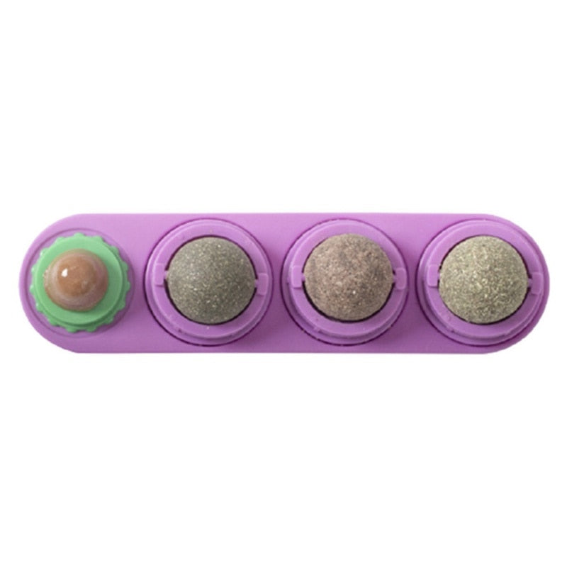 Pet Cat Catnip Wall Ball