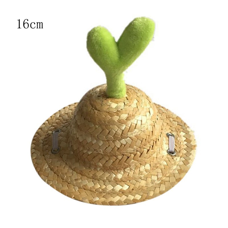 Woven Pet Straw Hat