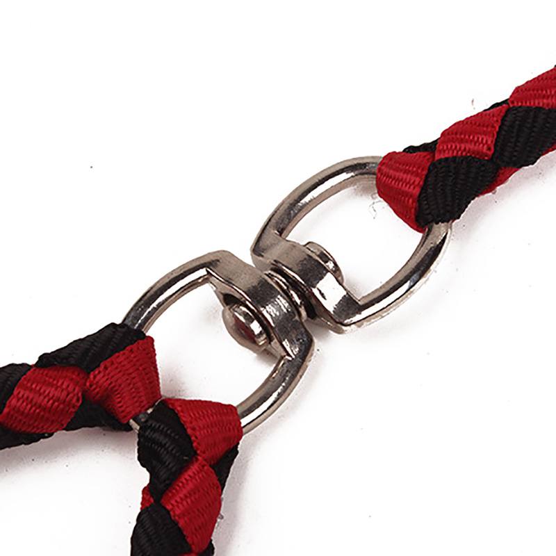 Double Lead Rope Dog Leash