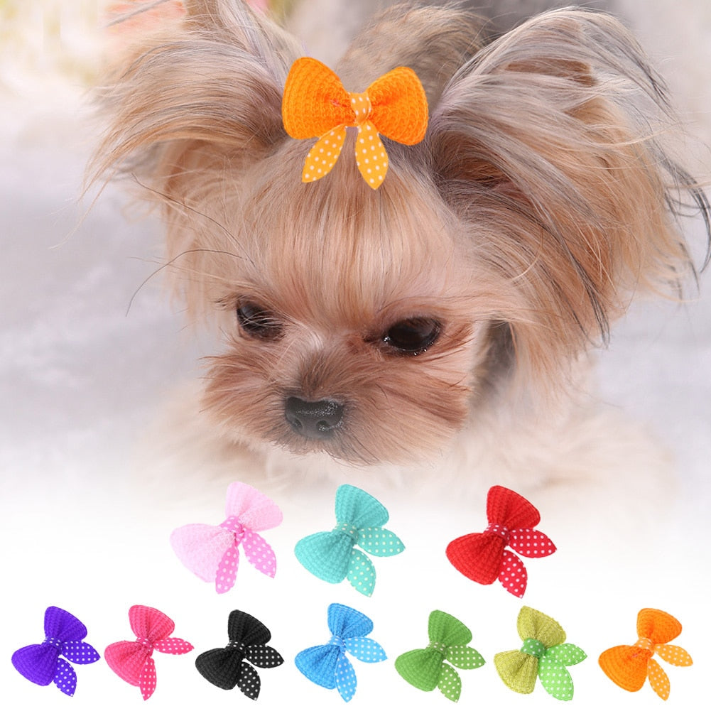 10-30pcs Pet Hairpin Bow