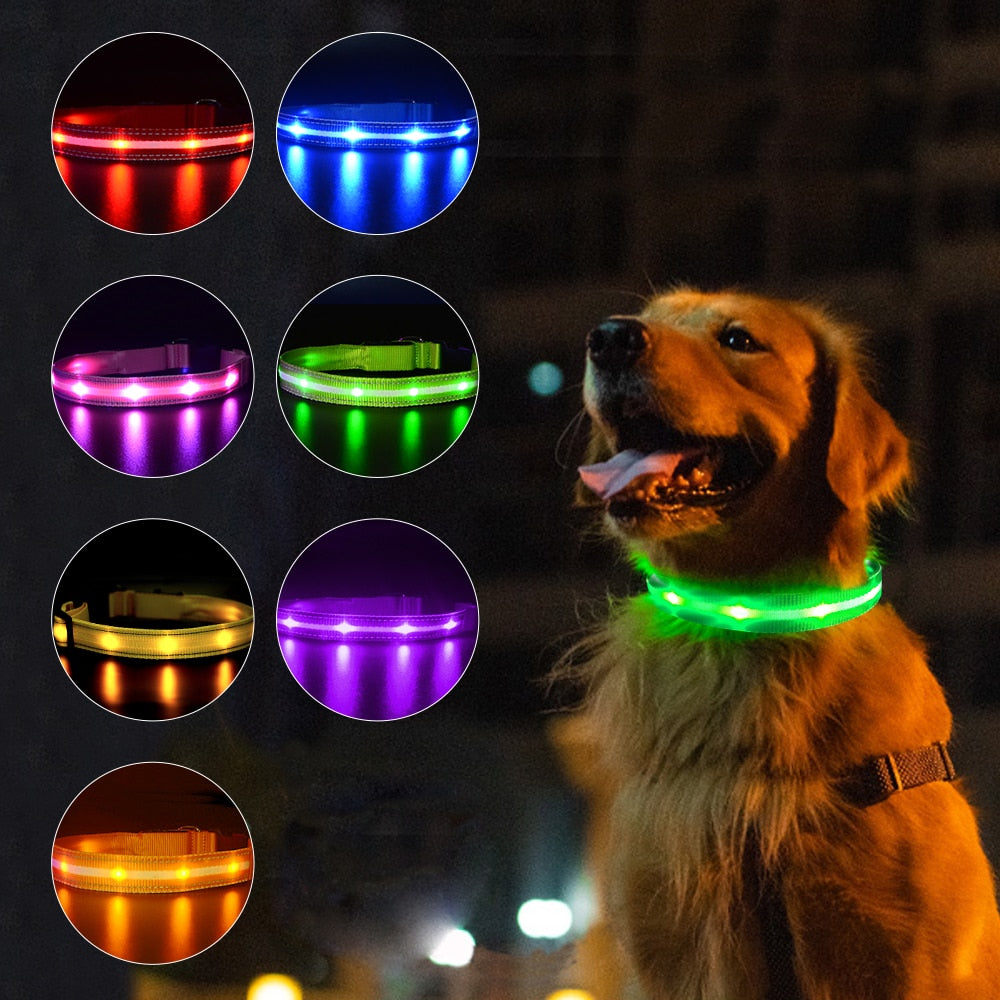 Dog LED Glowing Collar USB Rechargeable 3 Flashing Modes