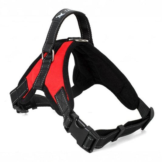 Adjustable Harness w/ Hand Strap