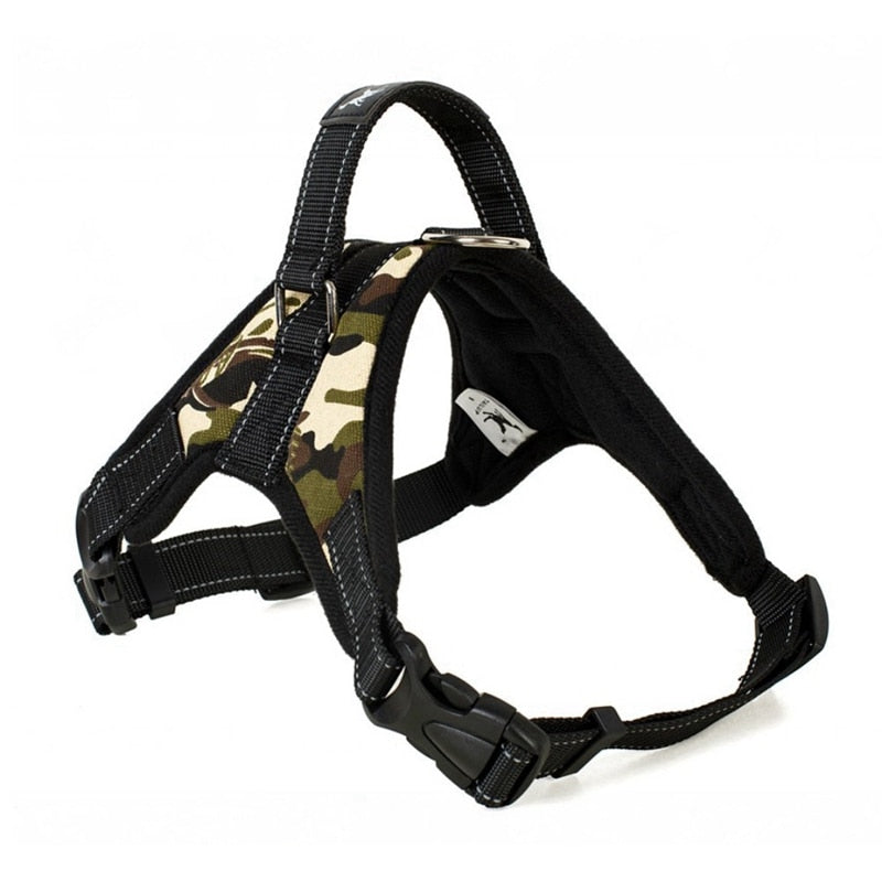 Adjustable Harness w/ Hand Strap