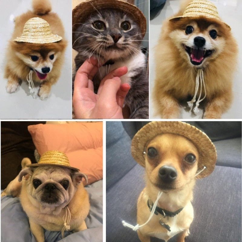 Woven Pet Straw Hat