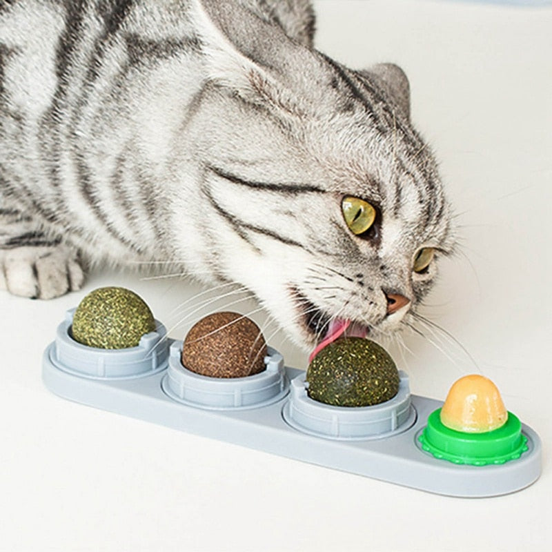 Pet Cat Catnip Wall Ball