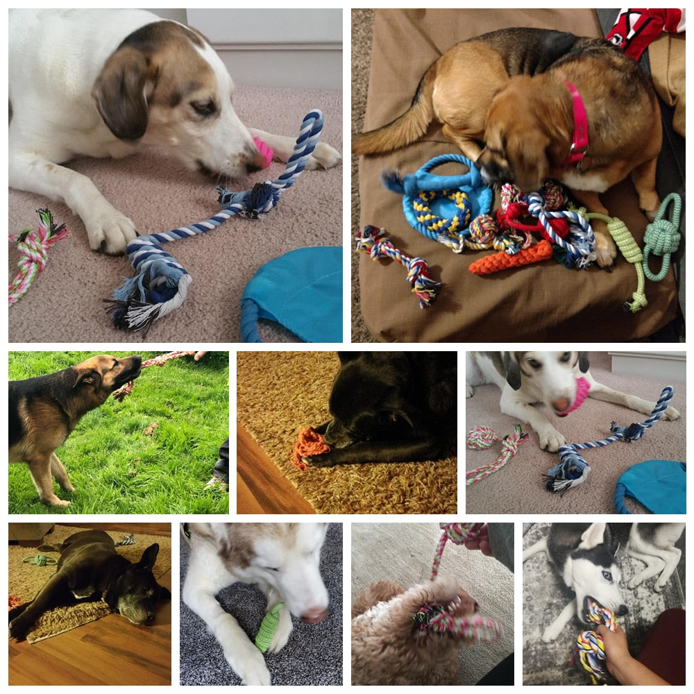 12Pcs Large Dog Toy Sets