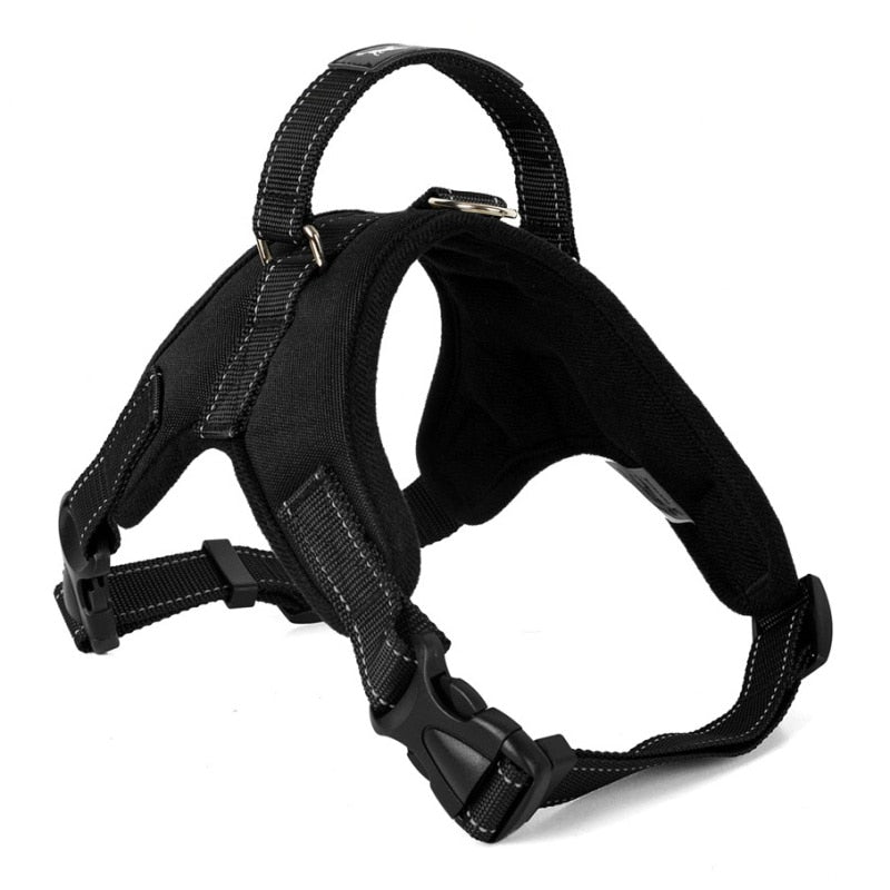 Adjustable Harness w/ Hand Strap