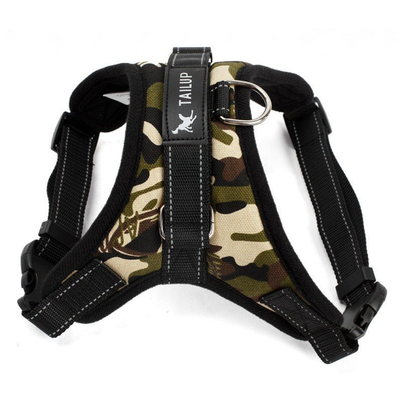 Adjustable Harness w/ Hand Strap