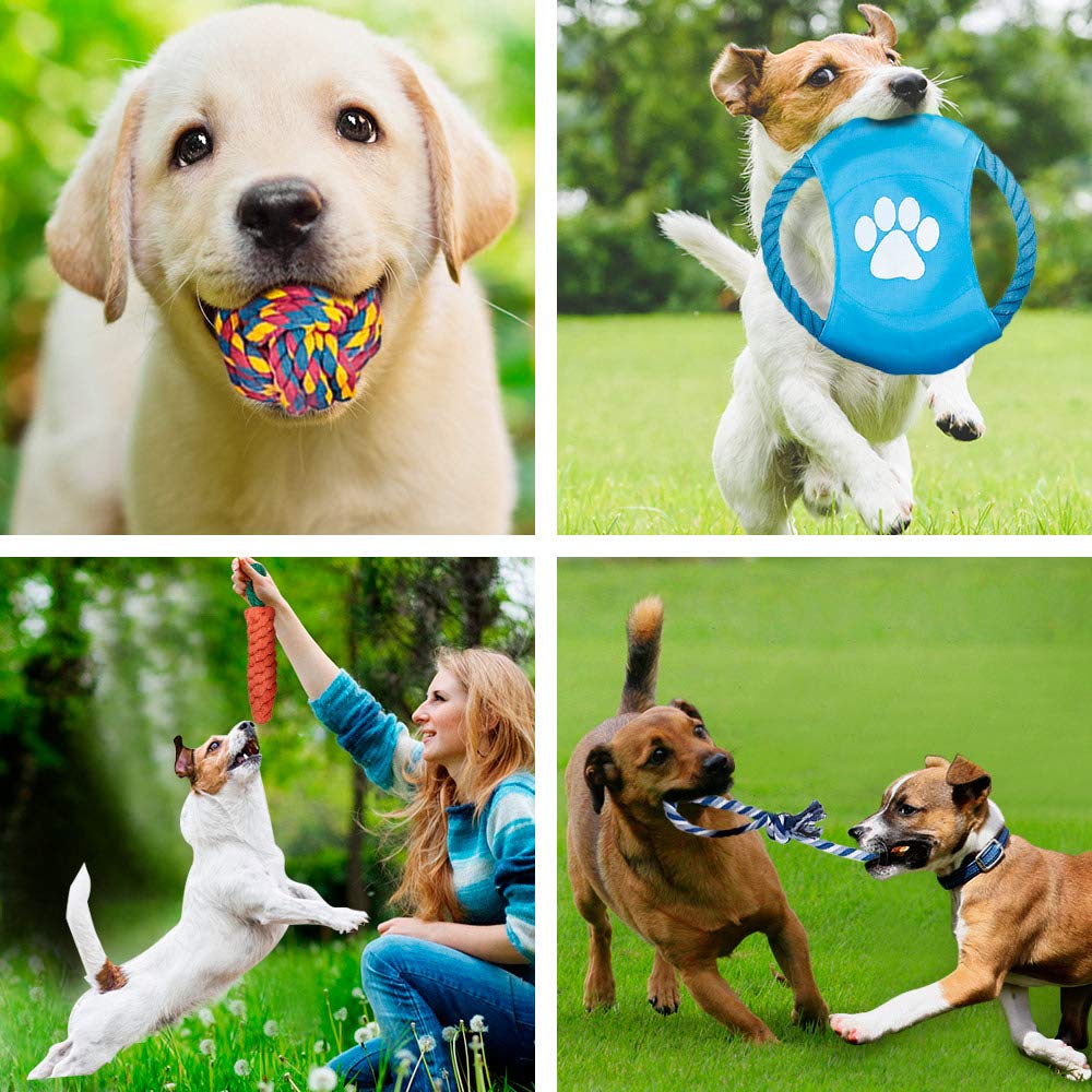 12Pcs Large Dog Toy Sets