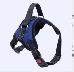 Adjustable Harness w/ Hand Strap