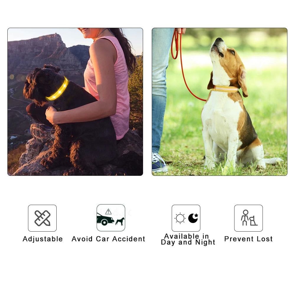 Dog LED Glowing Collar USB Rechargeable 3 Flashing Modes