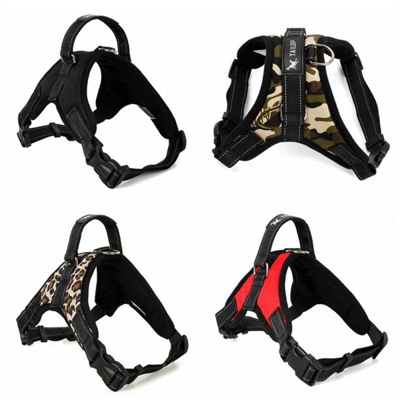 Adjustable Harness w/ Hand Strap