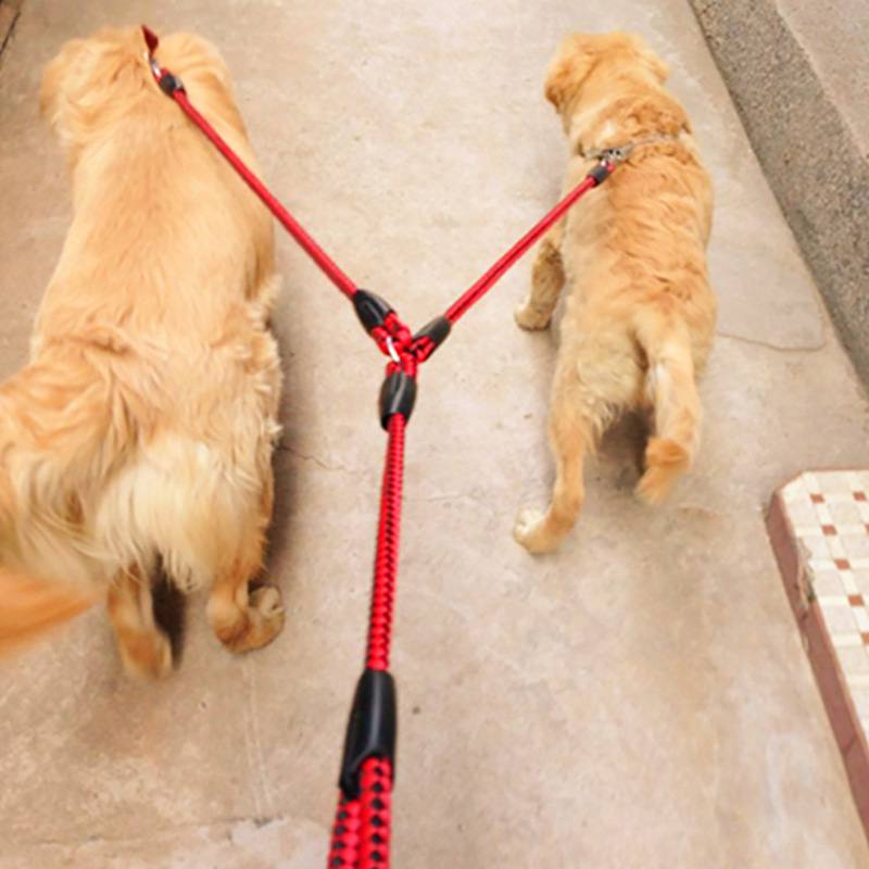 Double Lead Rope Dog Leash