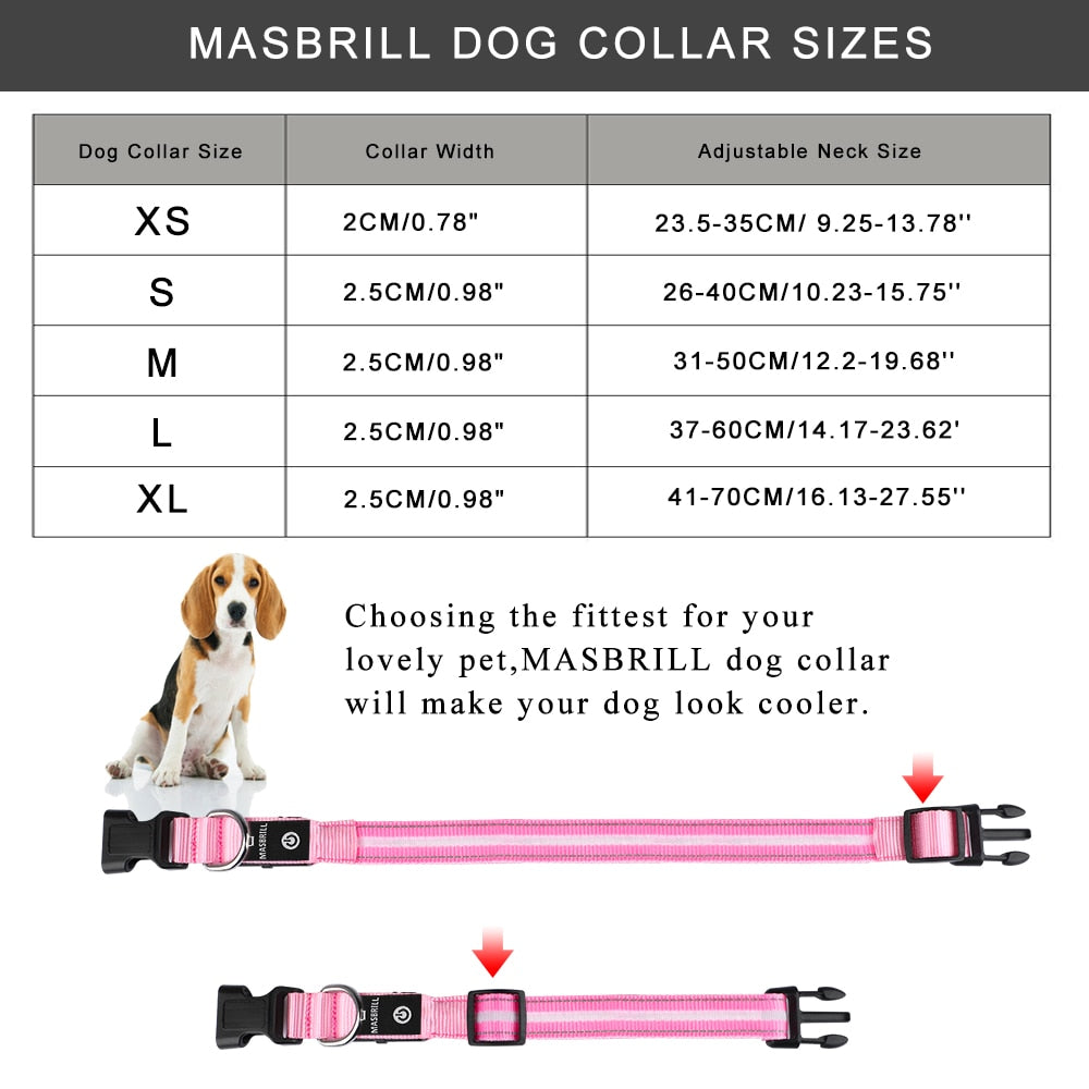 Dog LED Glowing Collar USB Rechargeable 3 Flashing Modes