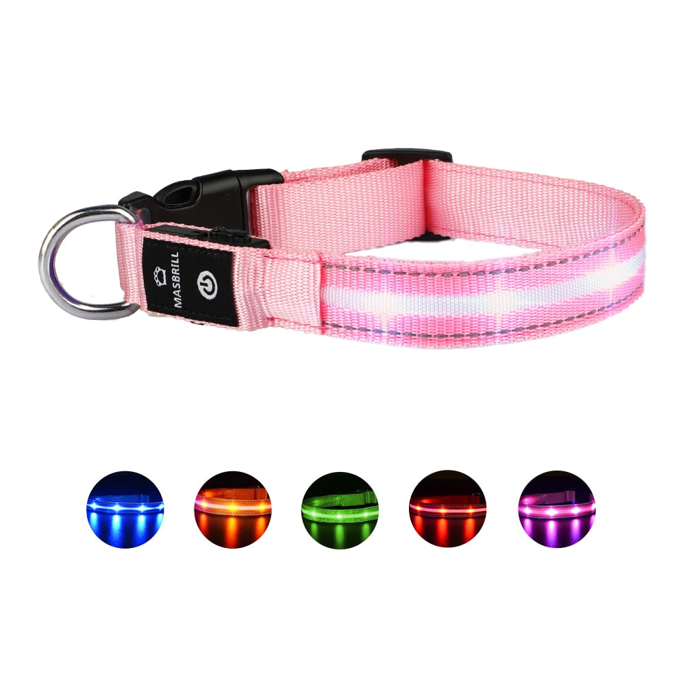 Dog LED Glowing Collar USB Rechargeable 3 Flashing Modes