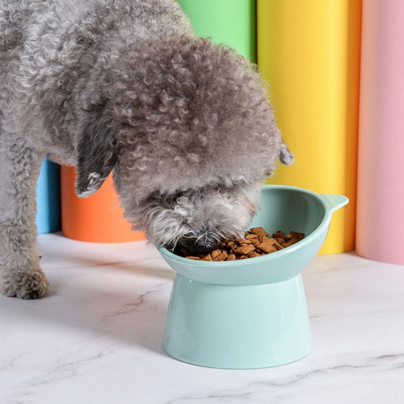 Cat Food/Water Bowl