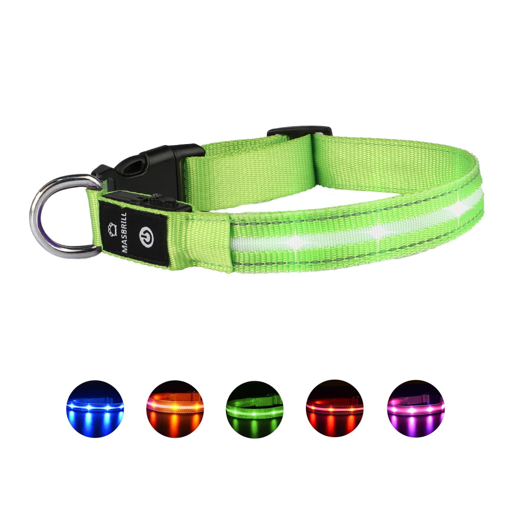 Dog LED Glowing Collar USB Rechargeable 3 Flashing Modes