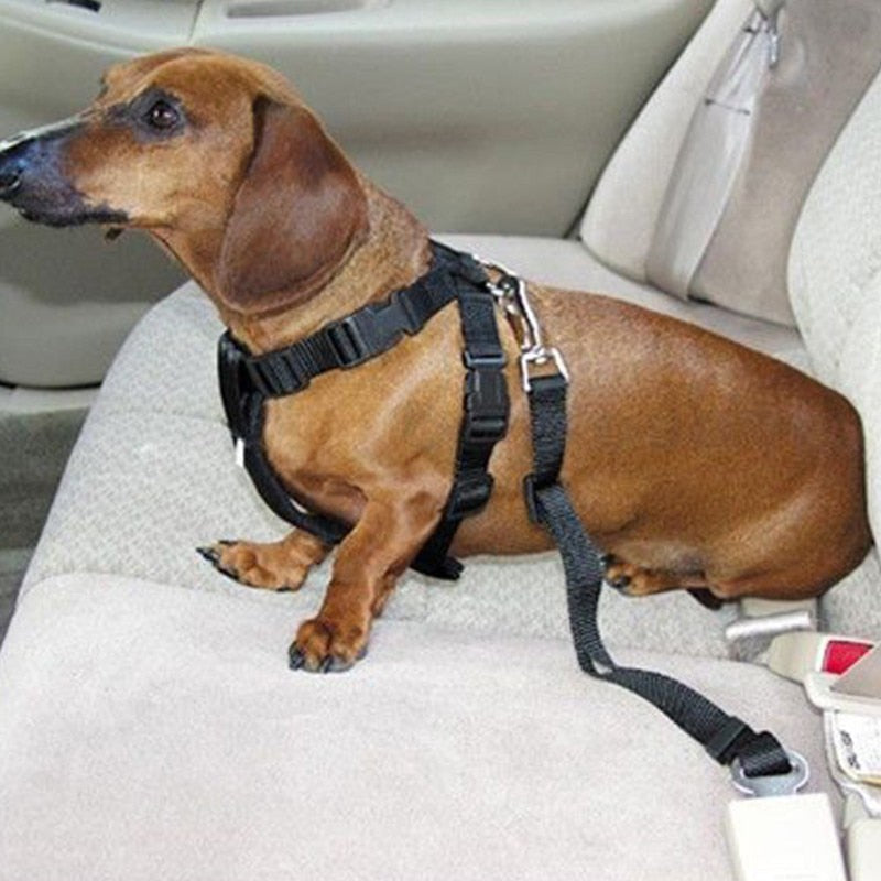 Adjustable Safety Seat Belt Nylon Seat Lead Leash Dog Harness Vehicle Seatbelt