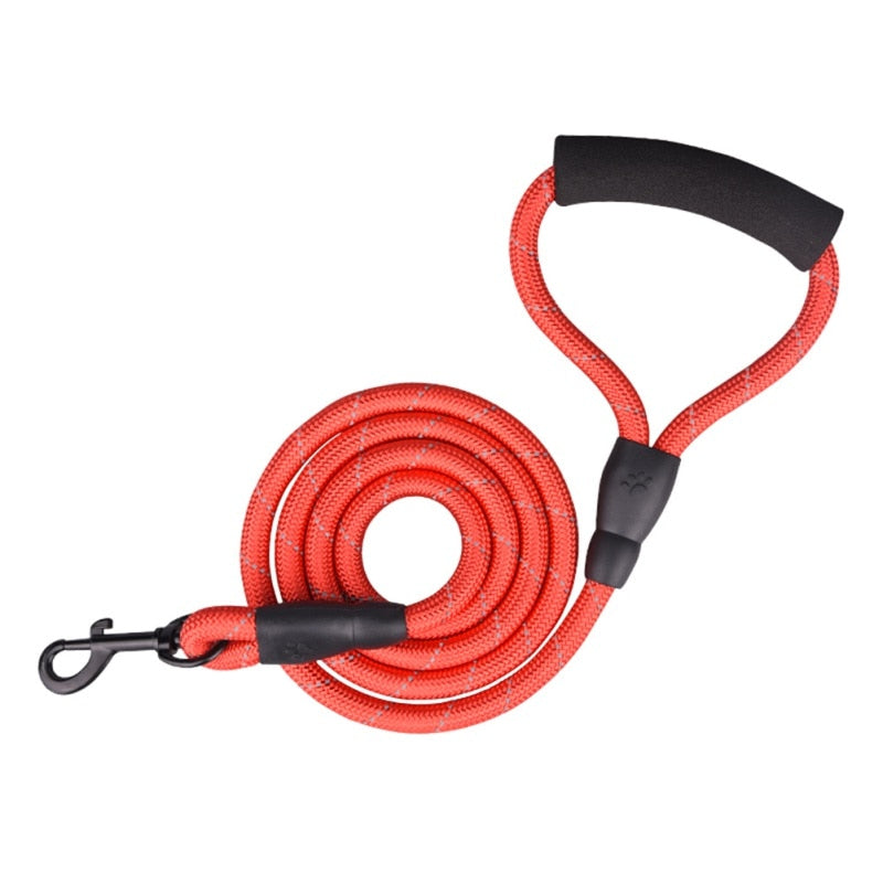 Double Lead Rope Dog Leash