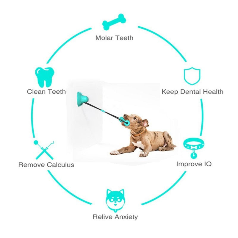 Medium to Large Dog Chew Toy Double Suction Cup for Aggressive Chewers.  Treat Dispenser.