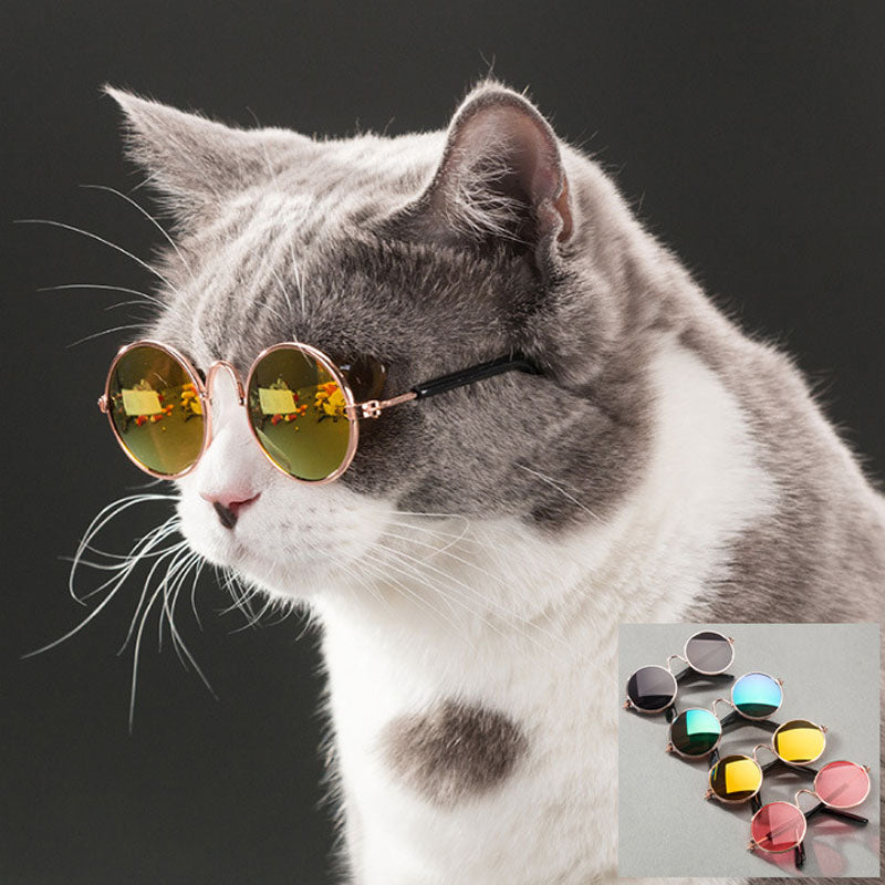 Lovely Pet Cat Glasses Dog Glasses