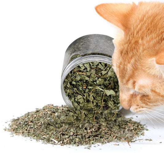 Natural Organic Catnip.  Can Be Sprinkled On Toys For Kitten