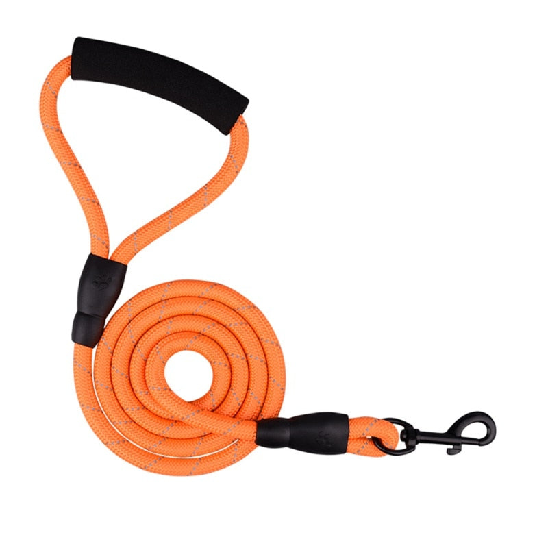 Double Lead Rope Dog Leash